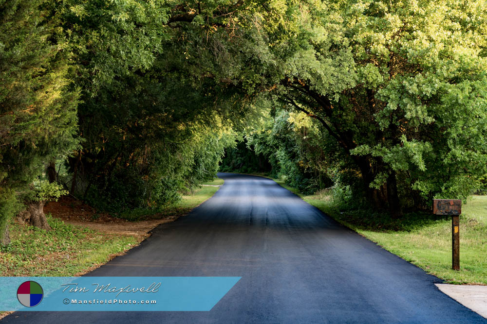 Road and Trees, Mansfield, TX