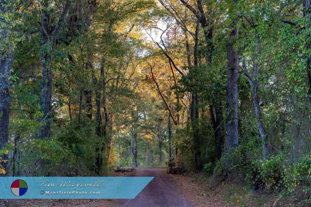 Road in Marshall, Texas